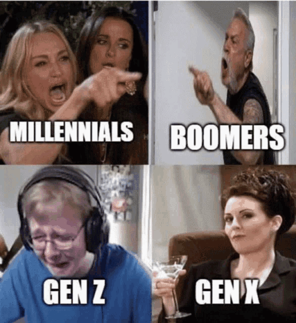 Funny meme showing Boomers, Millennials, Gen Z, and Gen Alpha arguing about parenting, technology, work ethic, and changing generations.